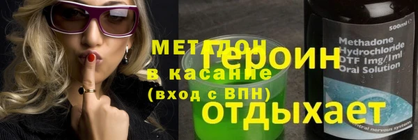 прущие грибы Дмитровск