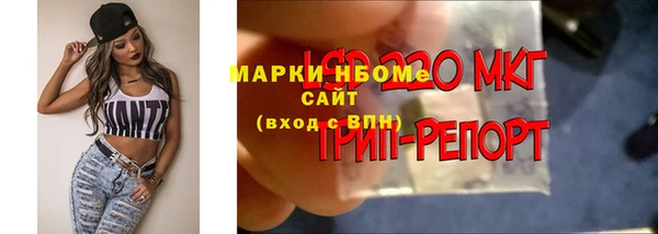 прущие грибы Дмитровск