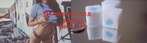 прущие грибы Дмитровск