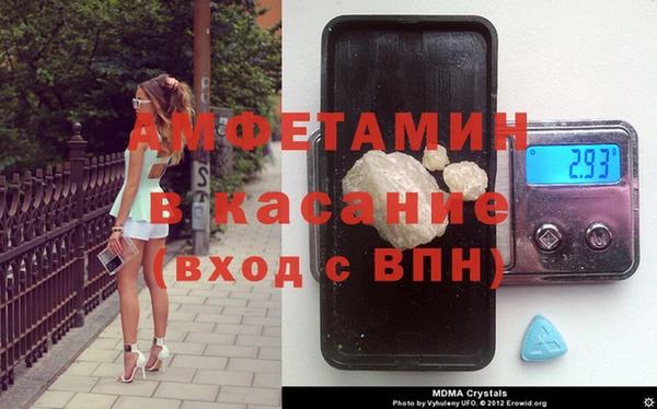 прущие грибы Дмитровск