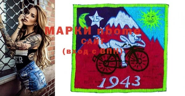 прущие грибы Дмитровск