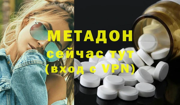 прущие грибы Дмитровск