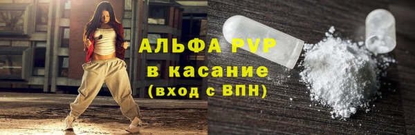 прущие грибы Дмитровск