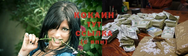 прущие грибы Дмитровск