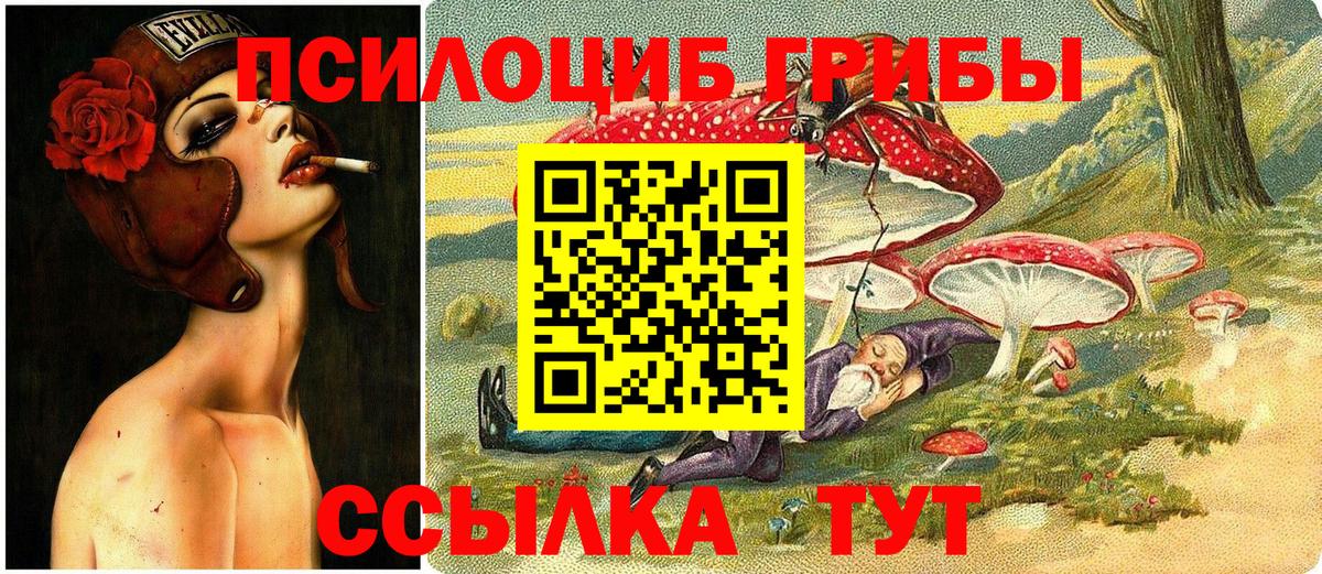Псилоцибиновые грибы Magic Shrooms  Псилоцибиновые грибы прущие грибы  дарнет шоп  Вход с VPN  Камышлов 